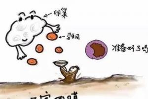 子宫内膜16mm厚吗，可否进行试管婴儿移植
