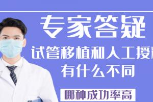 专家答疑试管移植和人工授精有什么不同、哪种成功率高