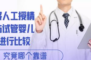 将人工授精与试管婴儿进行比较-究竟哪个靠谱
