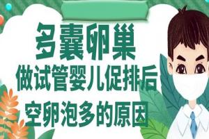 患有多囊卵巢做试管婴儿促排后空卵泡多的原因