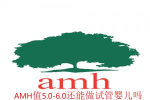 [专项科普]AMH值5.0-6.0还能做试管婴儿吗，成功率有多少