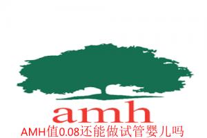 [专项科普]AMH值0.08还能做试管婴儿吗，成功率有多少