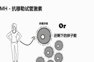 [专项科普]AMH值1.2还能做试管婴儿吗？成功率有多少？