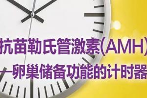 [专项科普]AMH值0.02还能做试管婴儿吗，成功率有多少