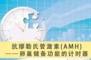 [专项科普]AMH值0.01还能做试管婴儿吗，成功率有多少