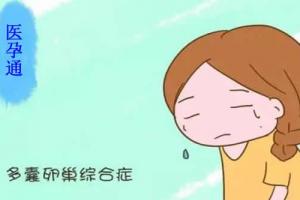多囊卵巢试管婴儿移植囊胚成功率高吗-看完你就有信心了