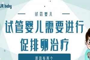 试管婴儿需要进行促排卵治疗-原因有两个