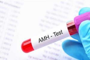AMH值0.81还可以做试管吗，成功率如何