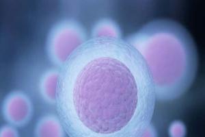 试管促排后取7个卵泡正常吗,成功率如何