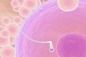 只有3个卵泡可以做试管婴儿吗,成功率高吗