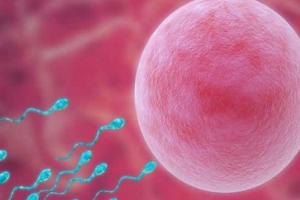 只取5个卵泡正常吗,试管成功率有多少