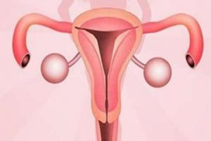 女性不孕之子宫颈病变还可以做试管婴儿吗