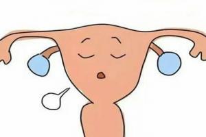 女性弓形子宫能做试管婴儿吗-可以但要先治疗