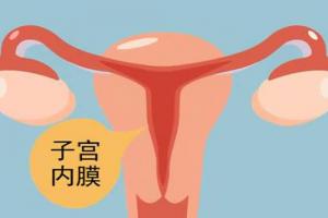 子宫内膜不好可以做试管婴儿吗-应先了解情况