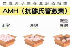 解读AMH值1.42能否做试管婴儿，成功率高吗