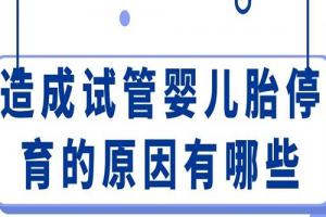造成试管婴儿胎停育的原因有哪些-这6点因素要避免