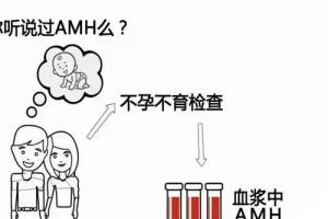 专家解读女性在做试管婴儿时应该如何解读AMH值