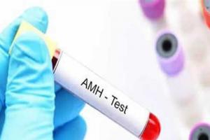 amh值0.43试管成功率高吗-先提高卵子质量是关键