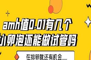 amh值0.01有几个小卵泡还能做试管吗-在排卵就还有机会