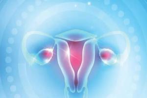 专家讲解卵巢早衰的女性怎么做试管婴儿-有哪些方式可以选择