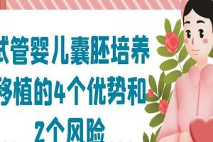 试管婴儿囊胚培养移植的4个优势和2个风险-试管移植须知