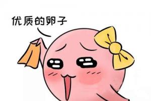 超高龄准备试管如何才能提高卵子质量-四步得到优质卵子