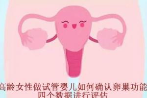 高龄女性做试管婴儿如何确认卵巢功能-四个数据进行评估