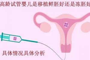 高龄试管婴儿是移植鲜胚好还是冻胚好-具体情况具体分析