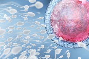 增强男性精子活力的4种方法，积极寻找病因并治疗是关键