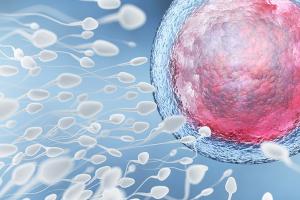 怎样增加精子的活力？做到这7点能增强精子活力