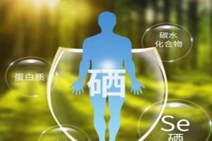 硒含高的食物有哪些？想要补硒这10类食物是最佳选择