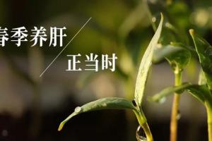 关于春季养肝的养生知识分享，想要养肝一定要做好这4点
