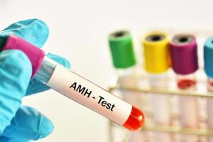 amh0.03是不是快绝经了，还可以做试管婴儿吗，关键在于能否取到卵