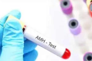 amh0.6还可以自然受孕吗？患者往往需要通过试管才能成功怀孕