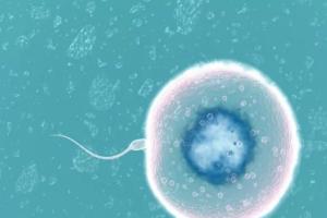 2023单身男性做试管婴儿大概要多少钱？一次试管费用约18万起