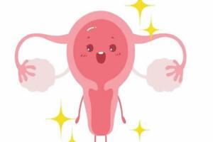 女性幼稚子宫还会有卵泡发育吗？两者并无直接性关系