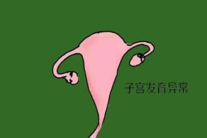 幼稚子宫可以做试管助孕吗？有机会受孕千万别轻易放弃