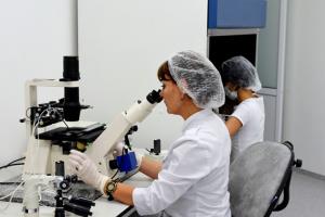 哈尔滨三代试管婴儿怀孕医院汇总，2023怀孕生子费用按流程划分