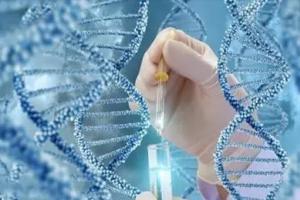 2023广西做试管婴儿试管婴儿私立医院排名，前十家试管医院均为公立机构