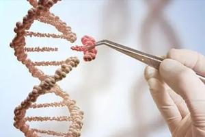 2023广西私立试管医院有试管婴儿试管吗？当地20家试管医院均为公立
