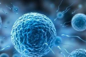 太原公立医院试管婴儿价格多少，2023三代试管婴儿费用划分五个阶段