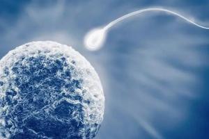 新疆公立医院试管婴儿费用多少，2023三代试管婴儿收费按流程规划