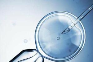 2023第三胎想要儿子可以在国内做三代试管吗？