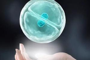 没有结婚证想生孩可以做试管婴儿吗？