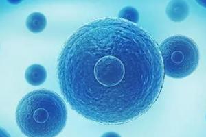 男性弱精子症可以做试管生育吗？