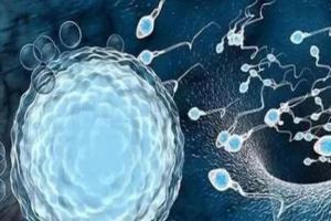 2023昆明11家试管婴儿助孕机构名单大全（附医院选择技巧）