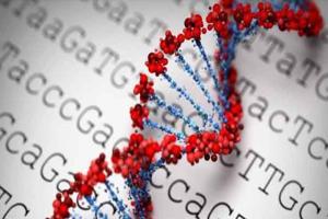 江西私立生殖医院可以做试管婴儿试管吗安全吗？2家私立机构安全性均有保证