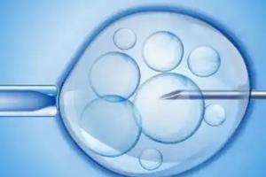 常德哪家医院有卵子库，2023常德正规试管婴儿机构公开