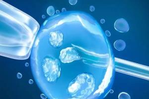 2023汕头试管婴儿不排队医院汇总，附怀孕生双胞胎费用解析