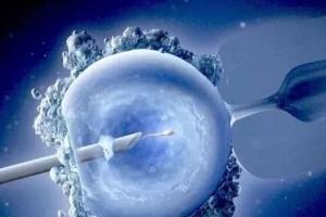 2023湛江试管婴儿试管婴儿医院榜单公开，附试管婴儿生子条件预览